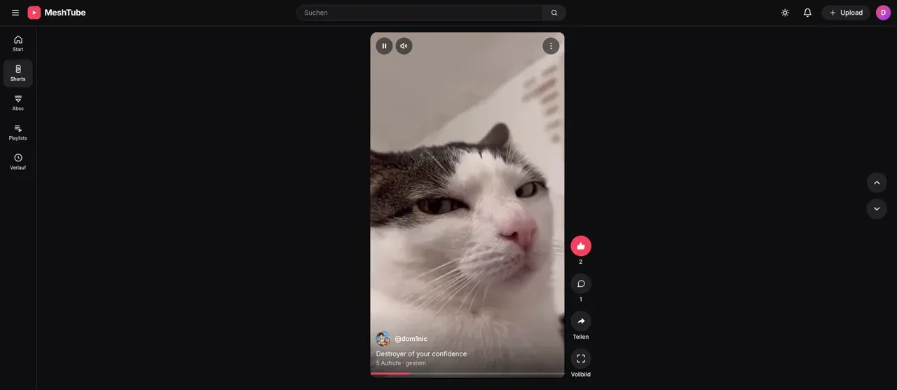 Screenshot 3 von MeshTube
