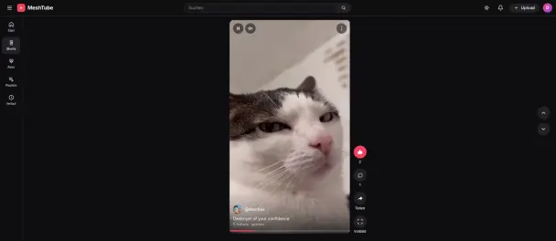 Screenshot von MeshTube